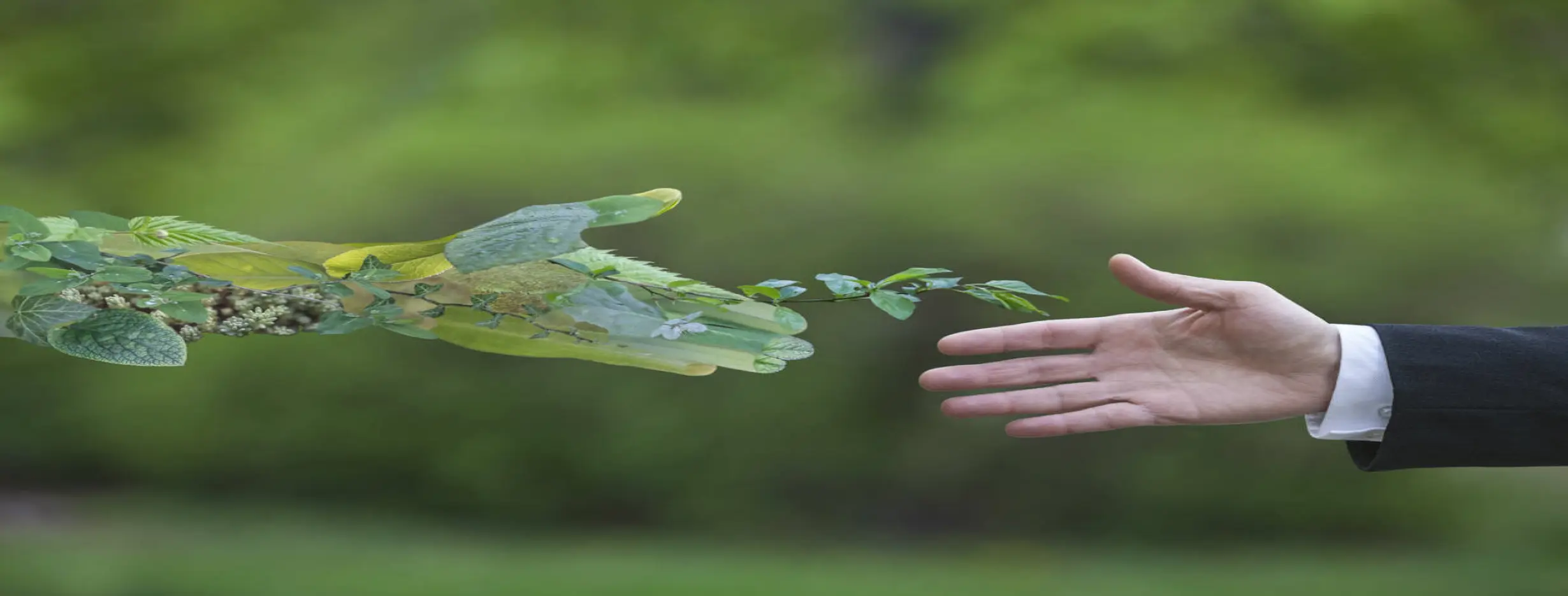 Image for Environmental Sustainability
